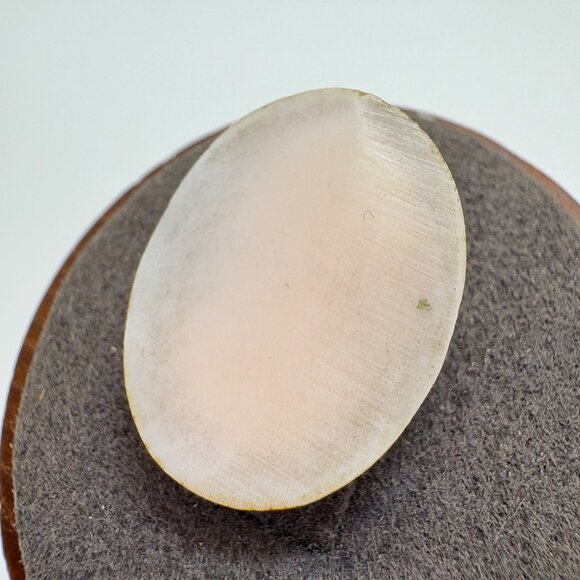 VTG Loose Stone Carved Shell White Profile Cameo Size 1" Length by 0.75" Width - Picture 5 of 9